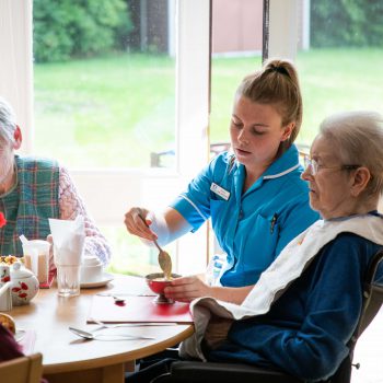 Bryony Park Nursing Home